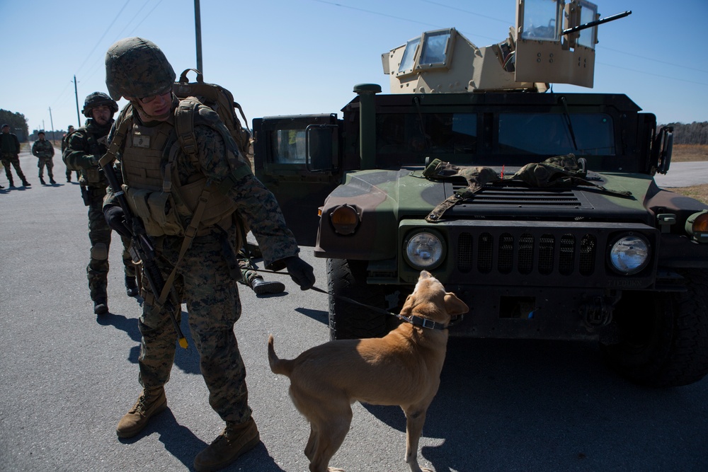 Royal Dutch Marines Quick Response Force Exercise