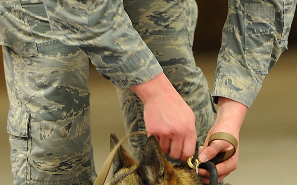 MWDs take a ‘bite’ out of training