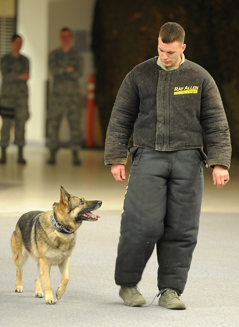 MWDs take a ‘bite’ out of training