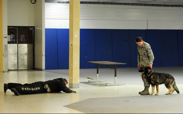 MWDs take a ‘bite’ out of training