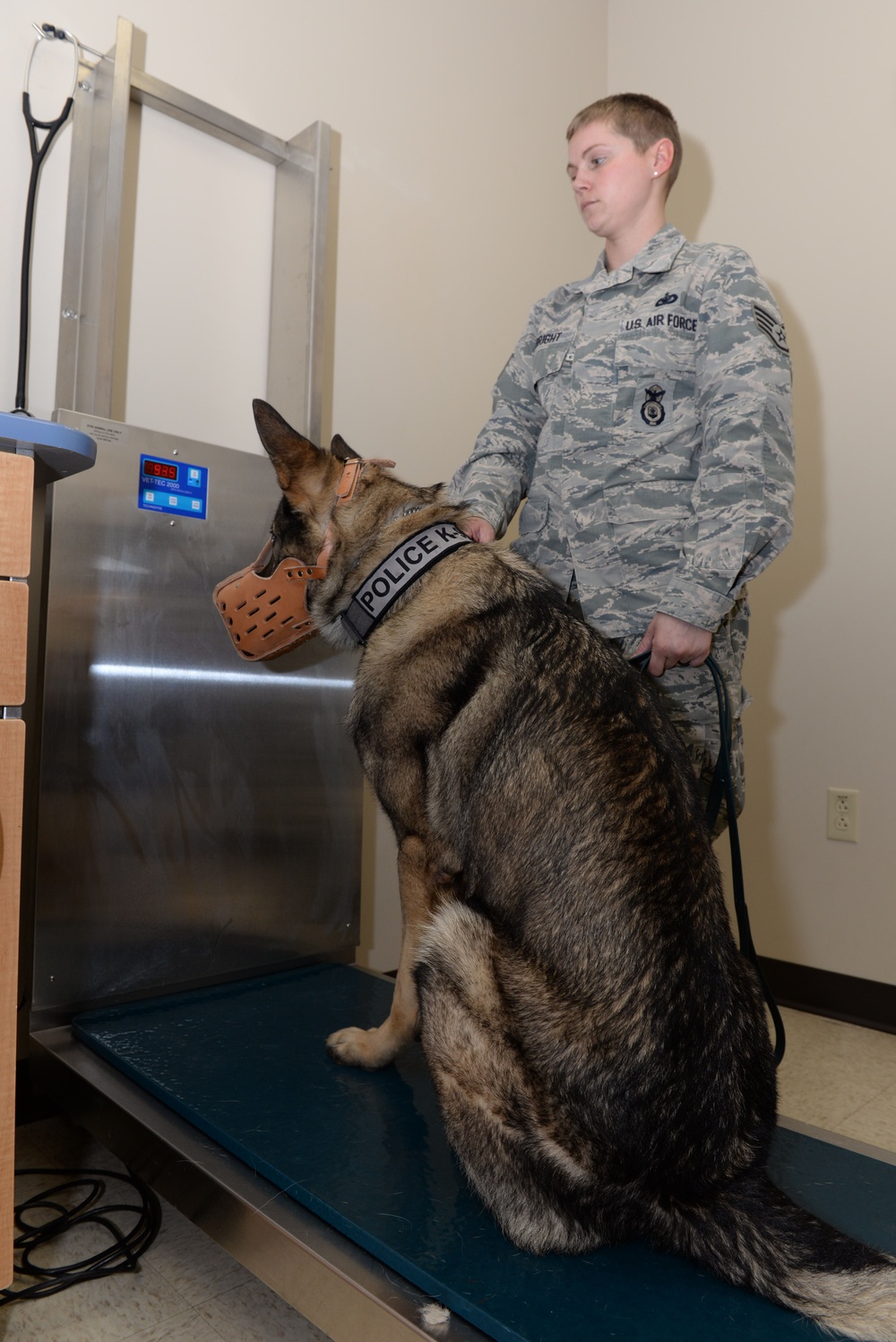 Wright-Patterson Veterinary Treatment Facility provides wellness exams for military working dogs