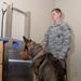 Wright-Patterson Veterinary Treatment Facility provides wellness exams for military working dogs