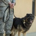 MWD retires after 10 years
