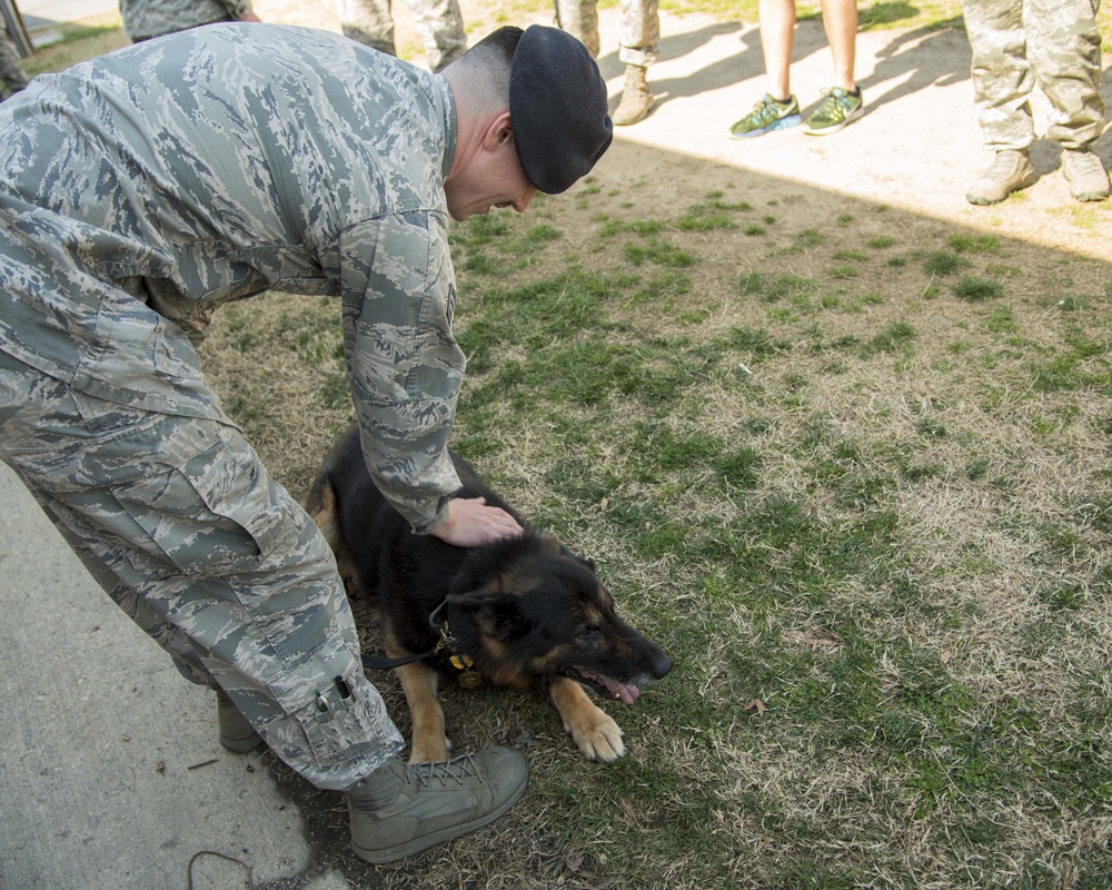 MWD retires after 10 years