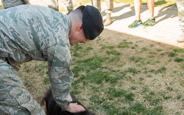 MWD retires after 10 years