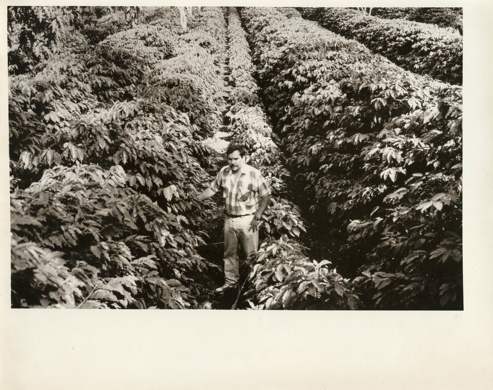 Roskens - Frontline Mechanicals, USAID Worldnet, Dialogues Horn of Africa, USAID Employee MGT/State Dept.