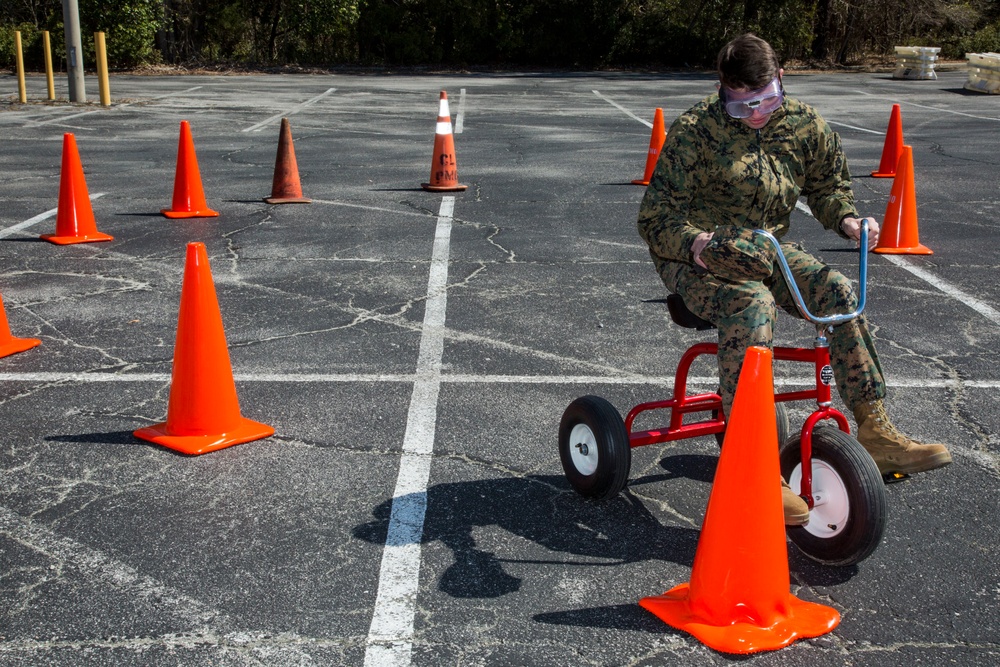 Fatal Vision Driving Simulation Course