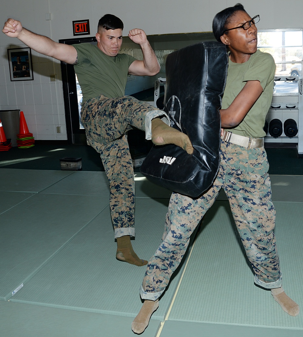 Marines maintain warrior