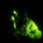 A military or tactical operator is photographed at night under green illumination, likely from a chemical light stick or tactical light source. The individual is wearing full combat gear including a helmet, tactical vest, and appears to be holding a glowing green light stick. The image is dramatically lit with green light against a completely dark background.