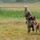 A military service member in camouflage uniform is engaged in a working dog training exercise in an open grassy field. The soldier is smiling while a Belgian Malinois military working dog appears to be biting or gripping his arm, suggesting a controlled bite training scenario. The setting appears to be an outdoor training area with tall grass and vegetation in the background.