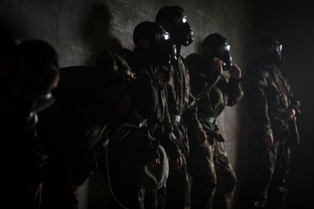 Up in smoke, Marines expose themselves to CS gas