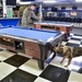 JBER Military Working Dog Training
