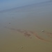 Coast Guard responds to oil spill near Venice, Louisiana