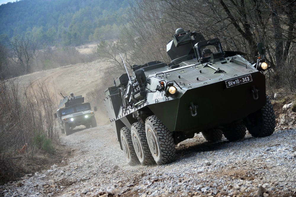 Exercise Vanguard Proof