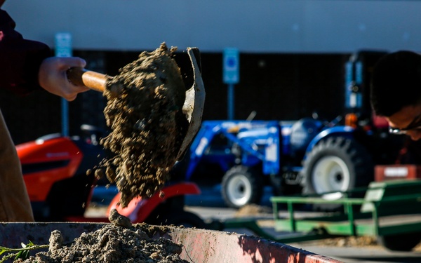 Two workers are engaged in outdoor landscaping or construction work, with one shoveling soil or dirt into a red wheelbarrow in the foreground. In the background, multiple tractors — including a red and a blue one — are parked in what appears to be a paved lot near a building. The scene suggests an active work site involving earth-moving or planting activities.