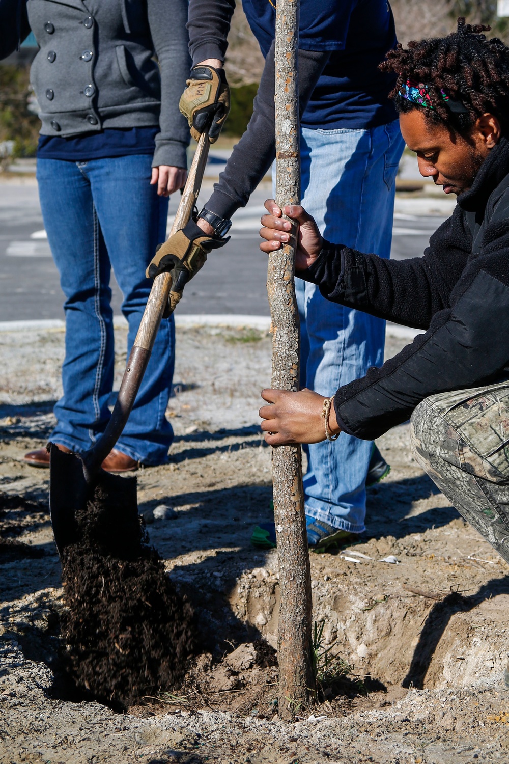 A group of people are planting a young tree outdoors in what appears to be a community or volunteer tree-planting effort. One person crouches while steadying the tree trunk with both hands, while another uses a shovel to move soil into the hole. A third person stands nearby observing or assisting.