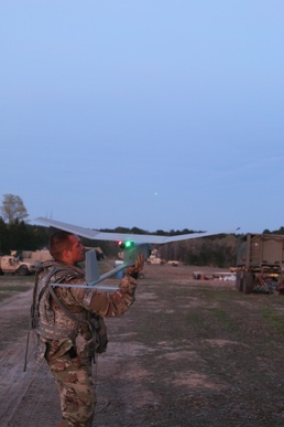 Ravens Take Flight During Mountain Peak