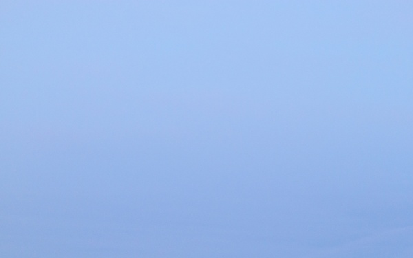 Ravens Take Flight During Mountain Peak