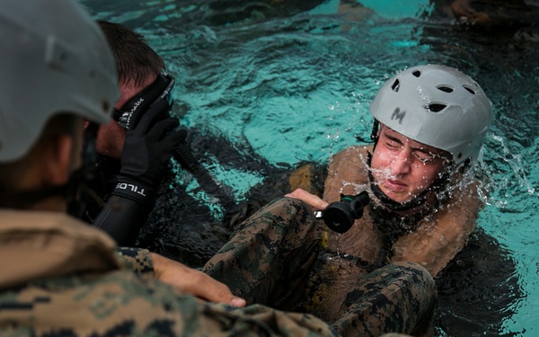 Keeping it amphibious