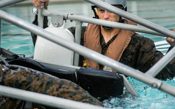 Keeping it amphibious