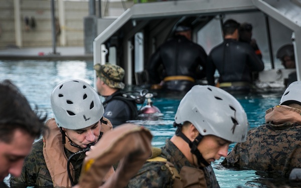 Keeping it amphibious