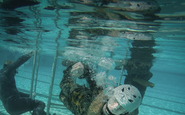 Keeping it amphibious