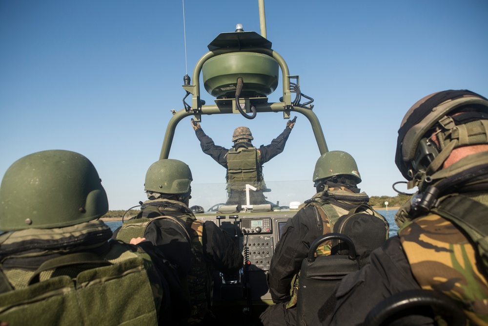 Royal Netherlands Marines FRISC Live Fire