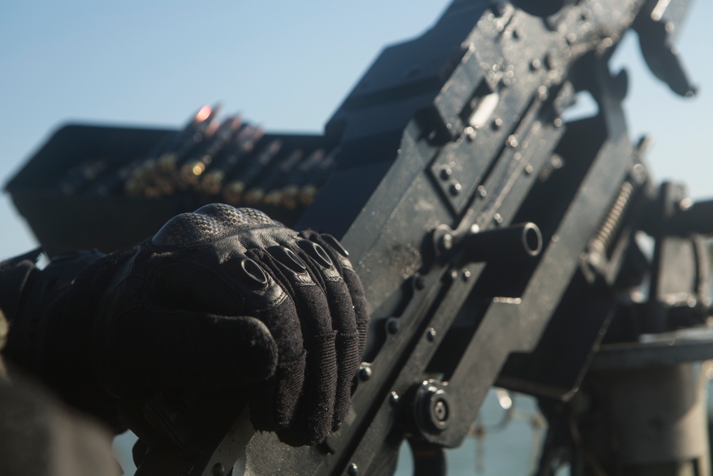 Royal Netherlands Marines FRISC Live Fire