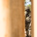 Dutch Caribbean Marines field exercise at Combat Town