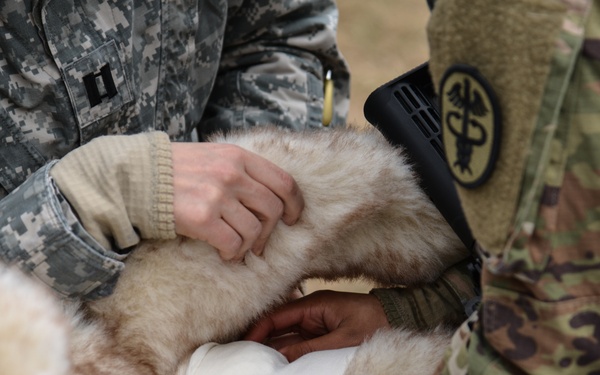 Public Health Activity ATX