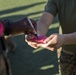 Bravo Company CFT