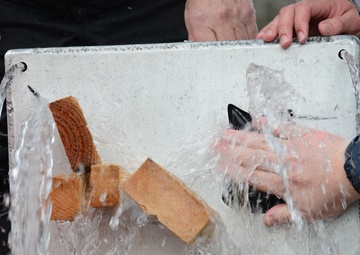 Think like survivors