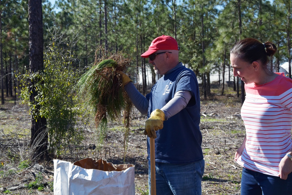 Arbor Day Tree Planting