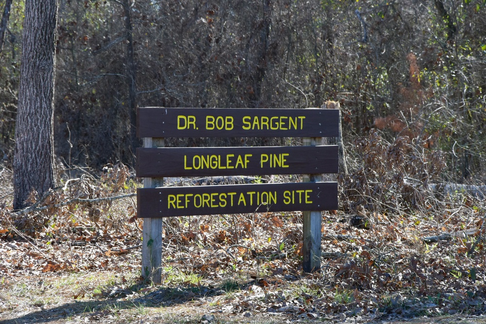 Arbor Day Tree Planting