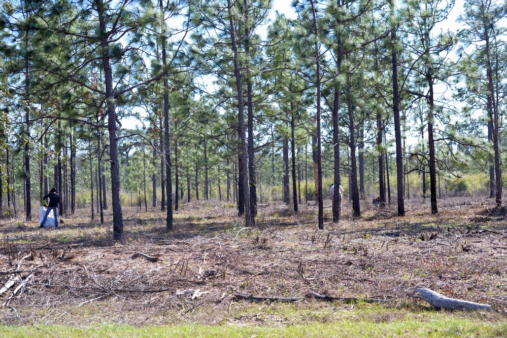 Arbor Day Tree Planting