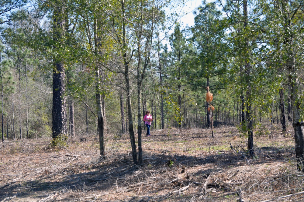 Arbor Day Tree Planting