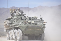 3rd Bn., 41st Infantry Regt. goes live for Table IV