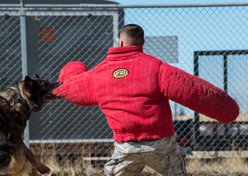 Dog handlers provide additional layer of protection