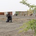 US and GCC special operators conduct tactical drills