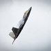 Raptors soar during Wings Over Golden Isles Air Show