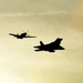 Raptors soar during Wings Over Golden Isles Air Show