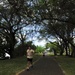 Remember the Fallen, Honor the Living: 25th ASOS hosts 6th Annual TACP Remembrance Run