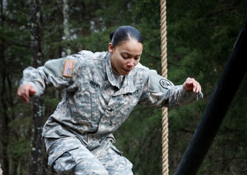 Swing, Stop and Jump