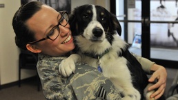 174th Attack Wing Therapy Dog