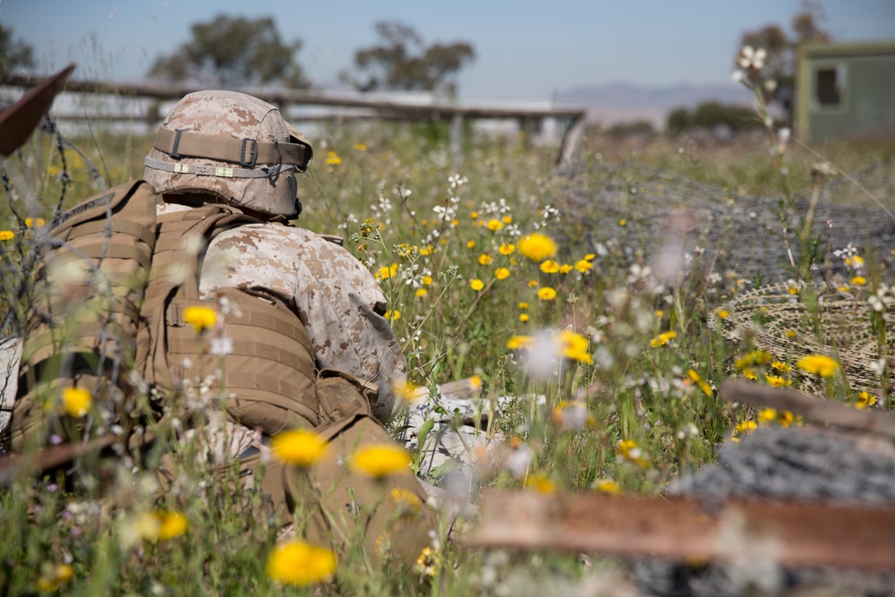 Together As One: U.S. Marines and Spanish SOF conduct MOUT exercise