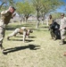Marines from Fleet Support Division engage in training