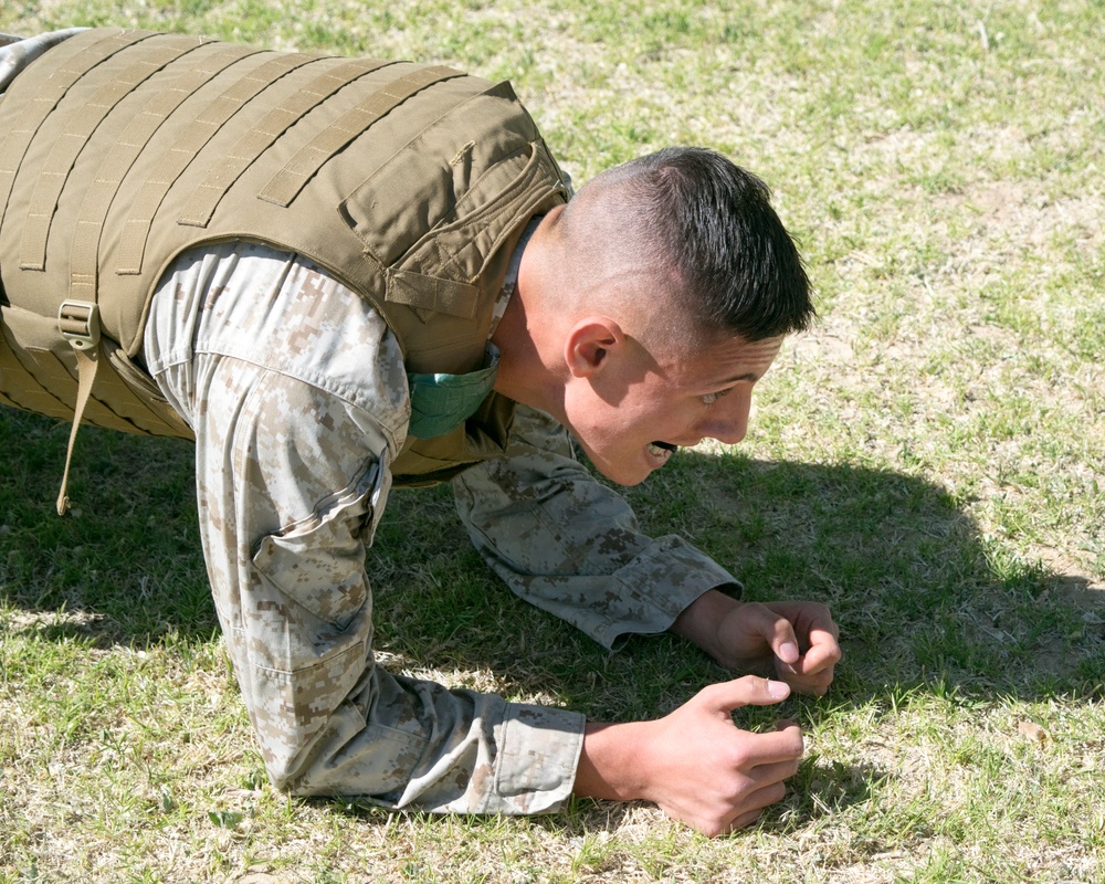 Marines from Fleet Support Division engage in training