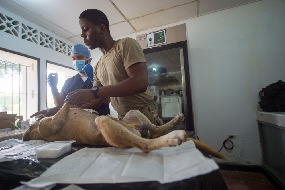 CP-17 Veterinarians Provide Animal Care in Colombia