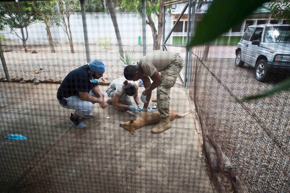 CP-17 Veterinarians Provide Animal Care in Colombia