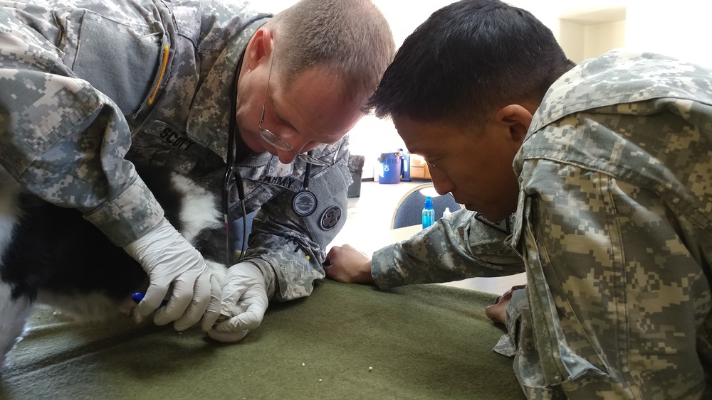 ARCTIC CARE 2017 Port Lions pop-up vet clinic